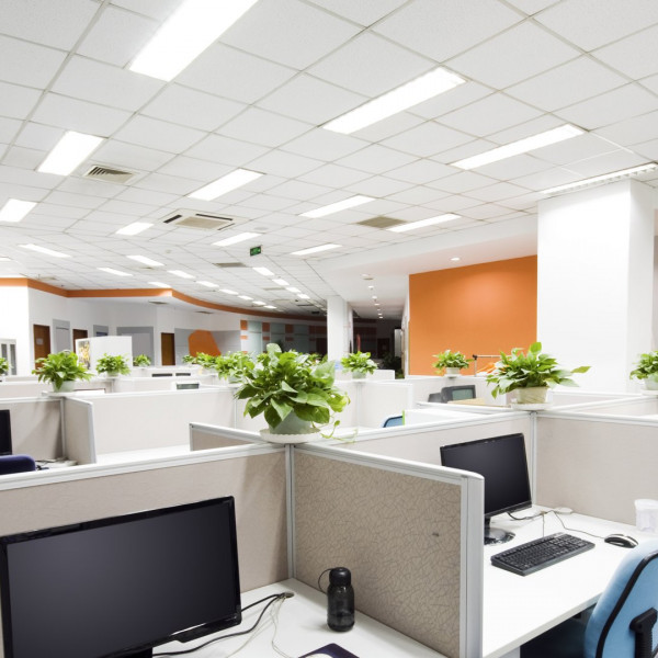 Anwendung eines WEGA-Panels in der Bürobeleuchtung
